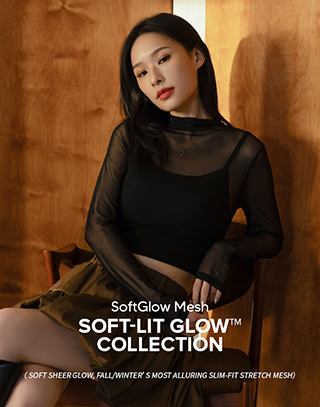 SHEER MOCK NECK TOP (WITH PADDING)