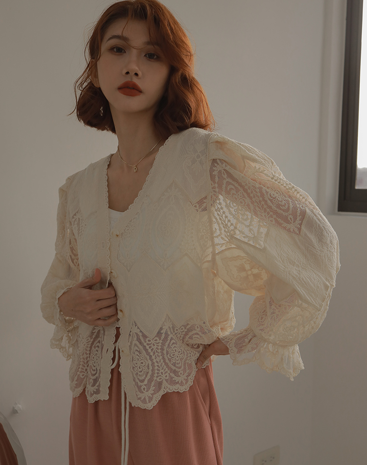 V NECK SHEER EMBROIDERED LACE TOP