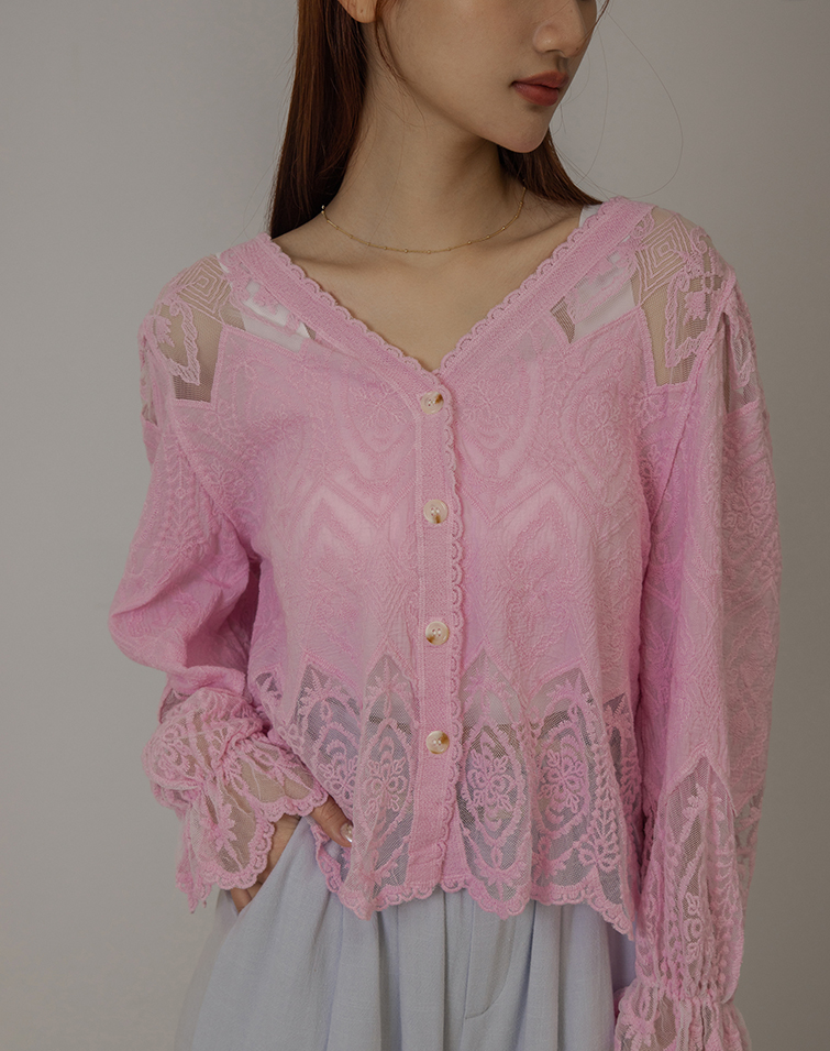 V NECK SHEER EMBROIDERED LACE TOP