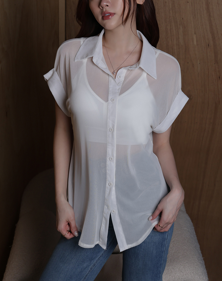 SHEER SLEEVE TOP