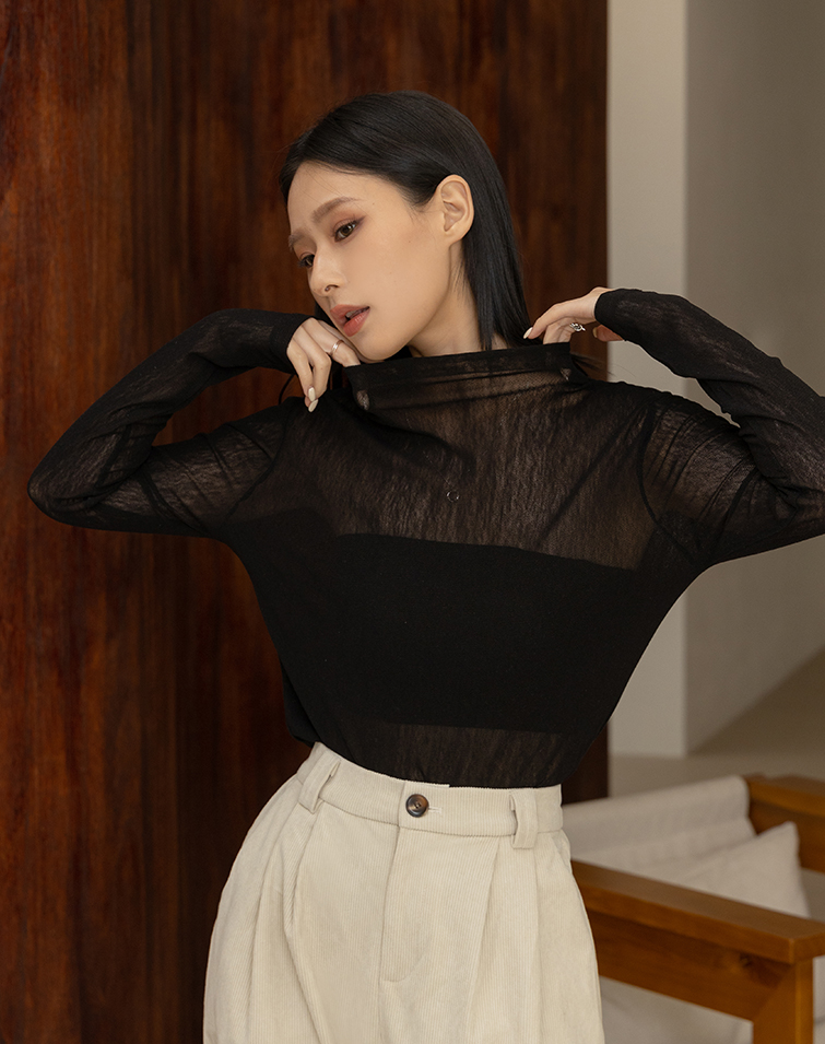 SEMI-SHEER HIGH NECK LAYERING TOP