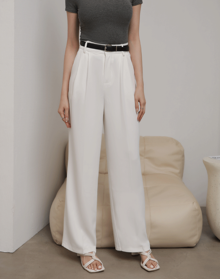 BREATHABLE WRINKLE-FREE PLEATED SUIT PANTS