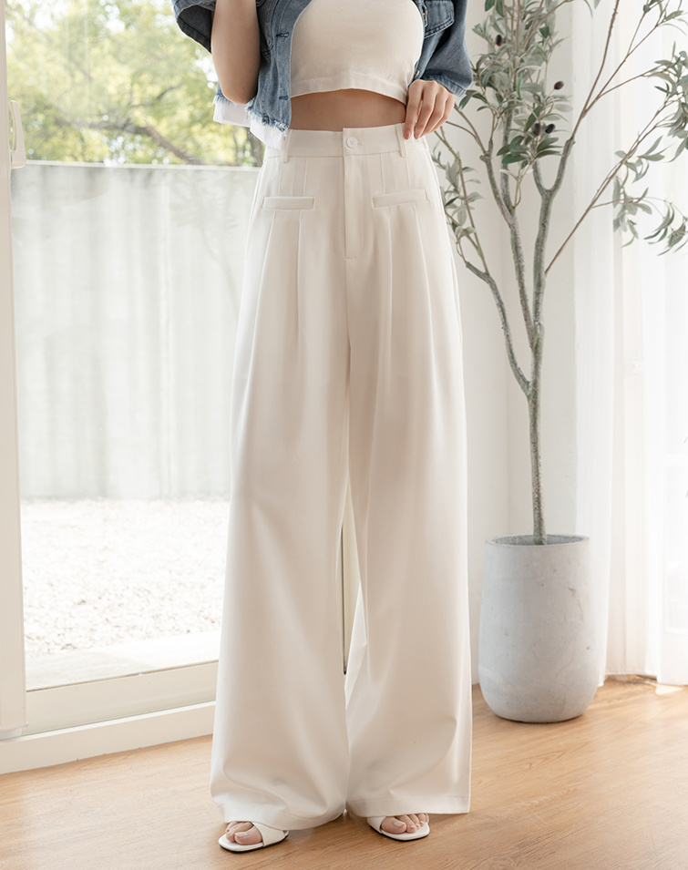 SOPHISTICATED PLEATED TAILORED PANTS
